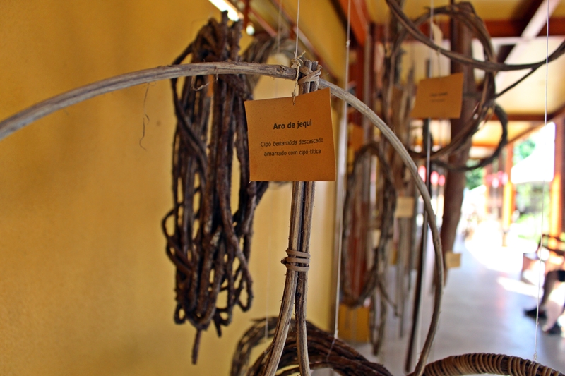museu da amazonia cipós
