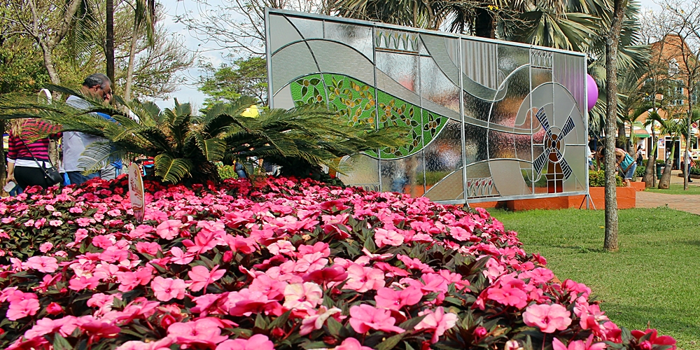 Saiba como é a Expoflora, o maior evento do ramo das flores do Brasil, que acontece na cidade de Holambra, interior de São Paulo, todo mês de setembro.