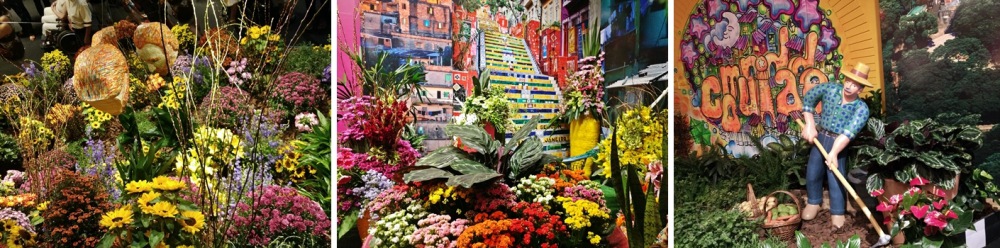Saiba como é a Expoflora, o maior evento do ramo das flores do Brasil, que acontece na cidade de Holambra, interior de São Paulo, todo mês de setembro.