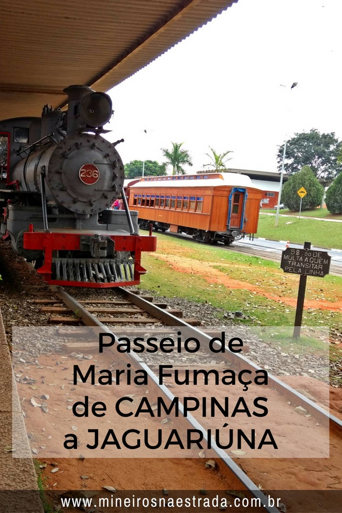 Quem visita a Holambra, interior de São Paulo, tem a chance de fazer um passeio de Maria Fumaça da vizinha Jaguariúna até Campinas. O trajeto inverso também é possível.