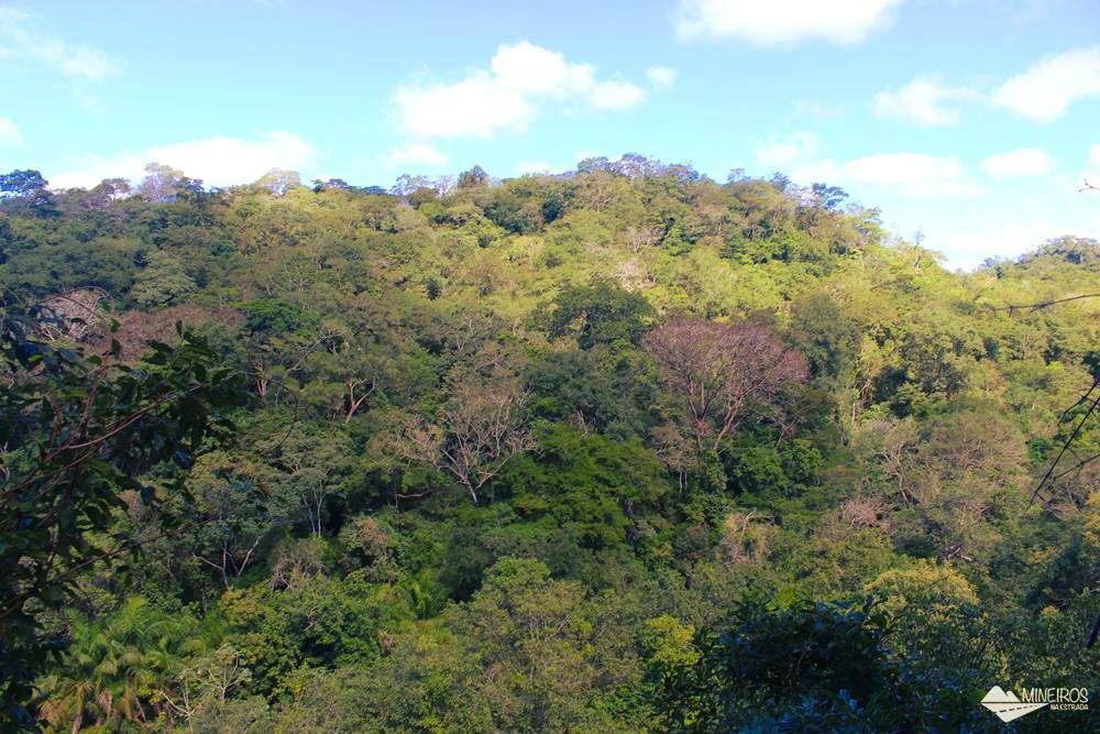 A Estância Mimosa é uma propriedade particular aberta ao ecoturismo, em Bonito, Mato Grosso do Sul. As atividades oferecidas são trilhas e cachoeiras, cavalgada e observação de pássaros.