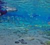 Bonito: A espetacular Gruta do Lago Azul