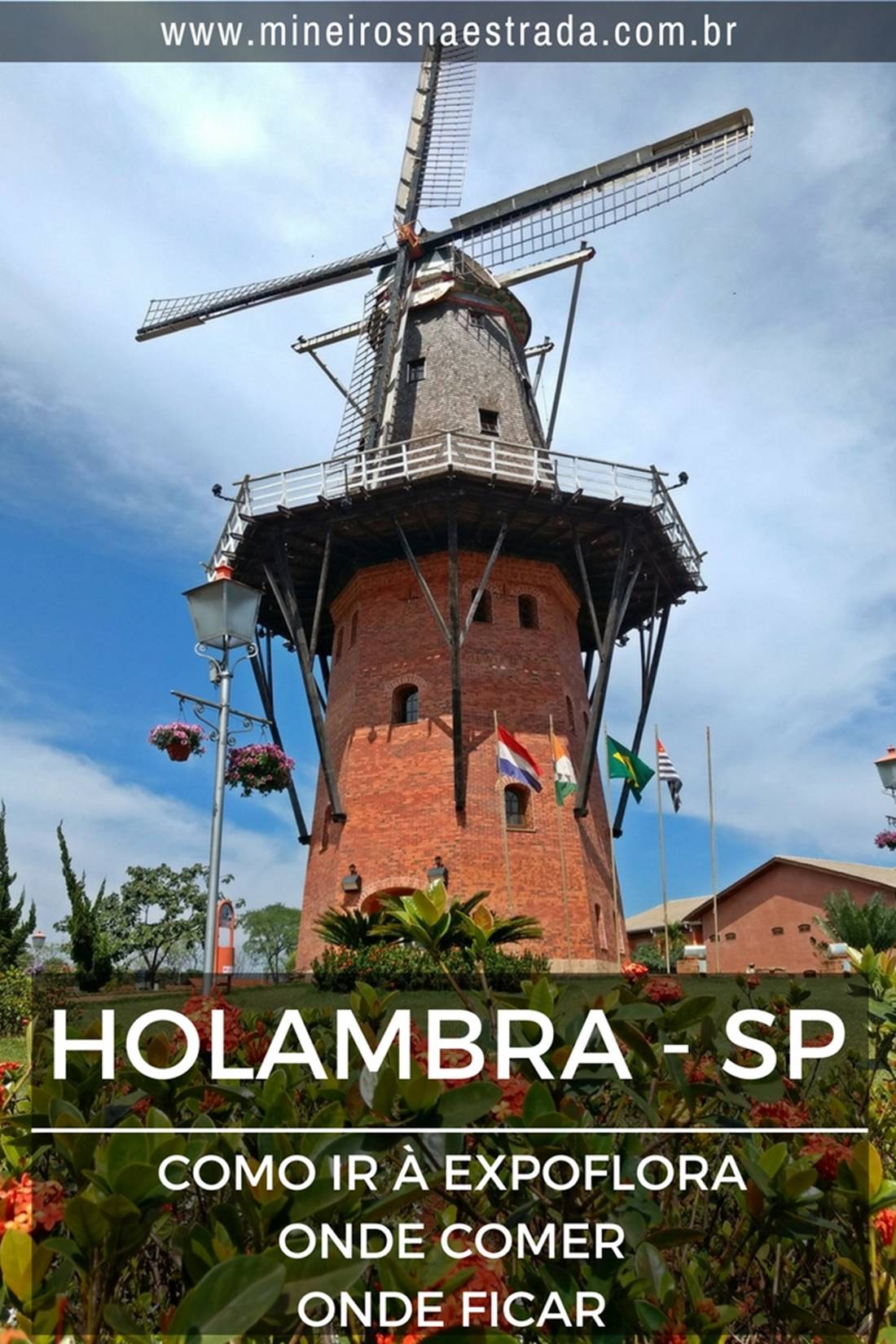 Holambra é uma pequena cidade da Região Metropolitana de Campinas, famosa por ser o maior centro produtor de flores e plantas ornamentais do Brasil. Anualmente, em setembro, acontece a Expoflora, o maior evento do ramo. Veja como se programar para participar.