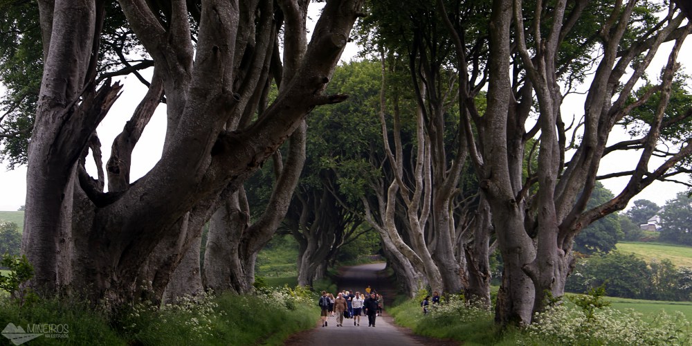 Como é o tour pelos cenários de Game of Thrones, Calçada dos Gigantes e Carrick-a-Rede Rope Brigde, na Irlanda do Norte.
