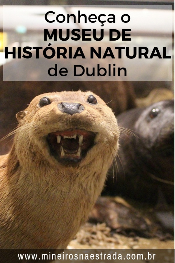 O Museu de História Natural é um dos quatro museus que integram o “National Museum of Ireland”, ou Museu Nacional da Irlanda. A entrada é gratuita.