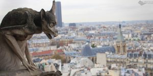 Paris: Como subir até as Torres da Catedral de Notre Dame