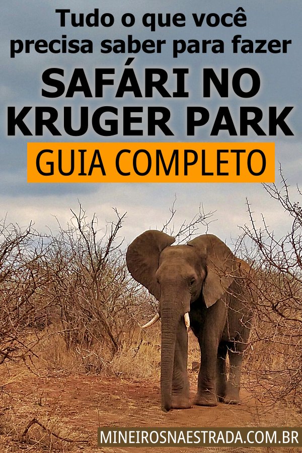 Um verdadeiro guia para quem vai fazer safári no Kruger National Park. Como chegar, melhor época, como funciona, quais as regras e muito mais!