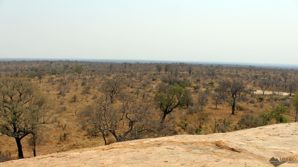 Vista de um mirante no Kruger Park