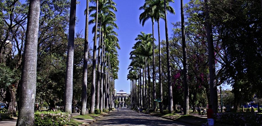 Palmeiras da Praça da Liberdade com o Palácio da Liberdade ao fundo. Um dos principais pontos turísticos de Belo Horizonte