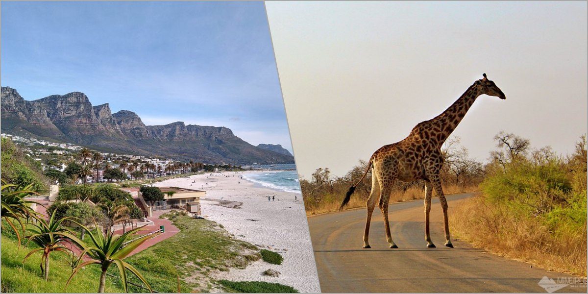 Procra o que fazer na África do Sul? Veja nosso roteiro de 14 dias por Cape Town, safár no Kruger Park, Joanesburgo e Rota Panorâmica.